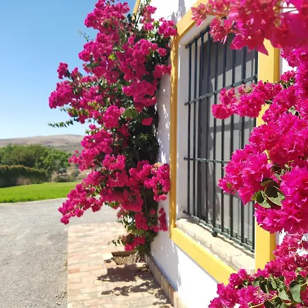 Reina Del Rio Holiday home