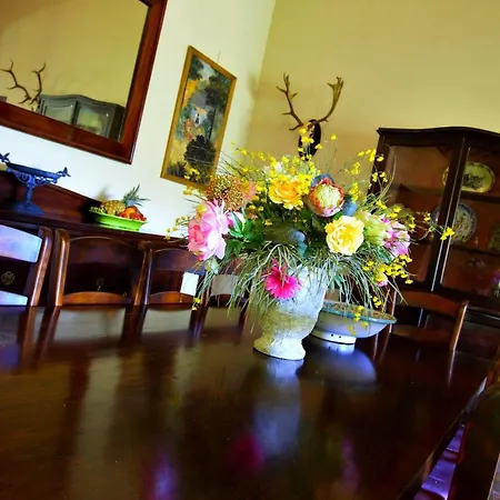 Holiday home Reina Del Rio *