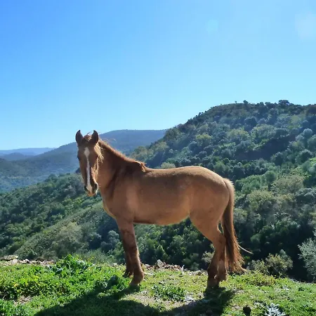 Reina Del Rio